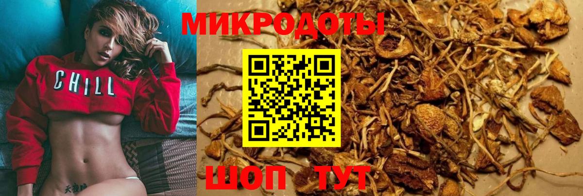 Галлюциногенные грибы Cubensis  Вход с VPN  Волжский  сколько стоит  Псилоцибиновые грибы прущие грибы 